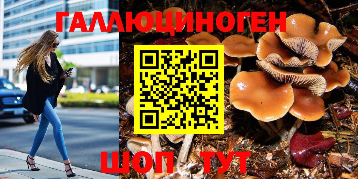как найти   Псилоцибиновые грибы ЛСД  Псилоцибиновые грибы Psilocybe  Вход с VPN  Луховицы 